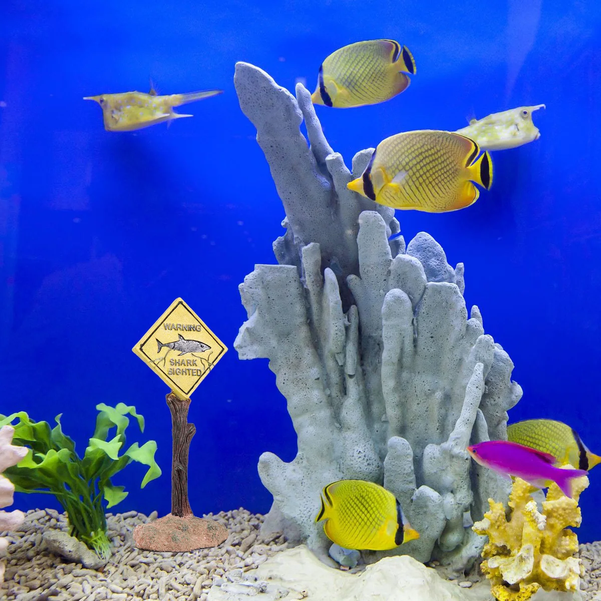 

Cartoon Resin Ornaments Fish Tank Landscape Aquarium Decorations Sign Decorate Small Display for Mini Warning