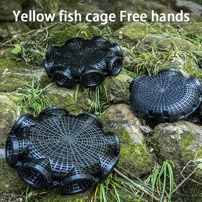 Eel Cage Inverted W…