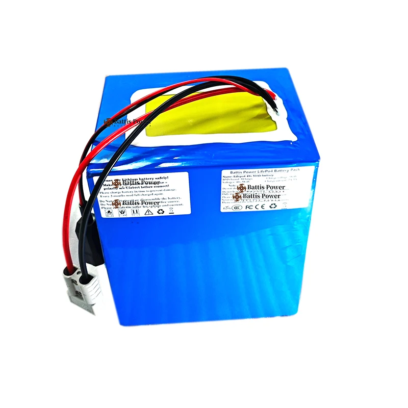 51.8V 60AH lithium ion battery BMS 14S li ion for 3000w AGV scooter bike Tricycle inverter golf cart boat + 10A Charger