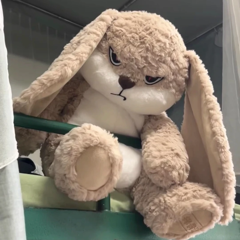 الإنترنت المشاهير العنصر الساخن رمي أرنب ألعاب من نسيج مخملي سوبر لينة قصيرة أفخم الأرنب لعبة لطيف شفاء الديكور هدية عيد #3