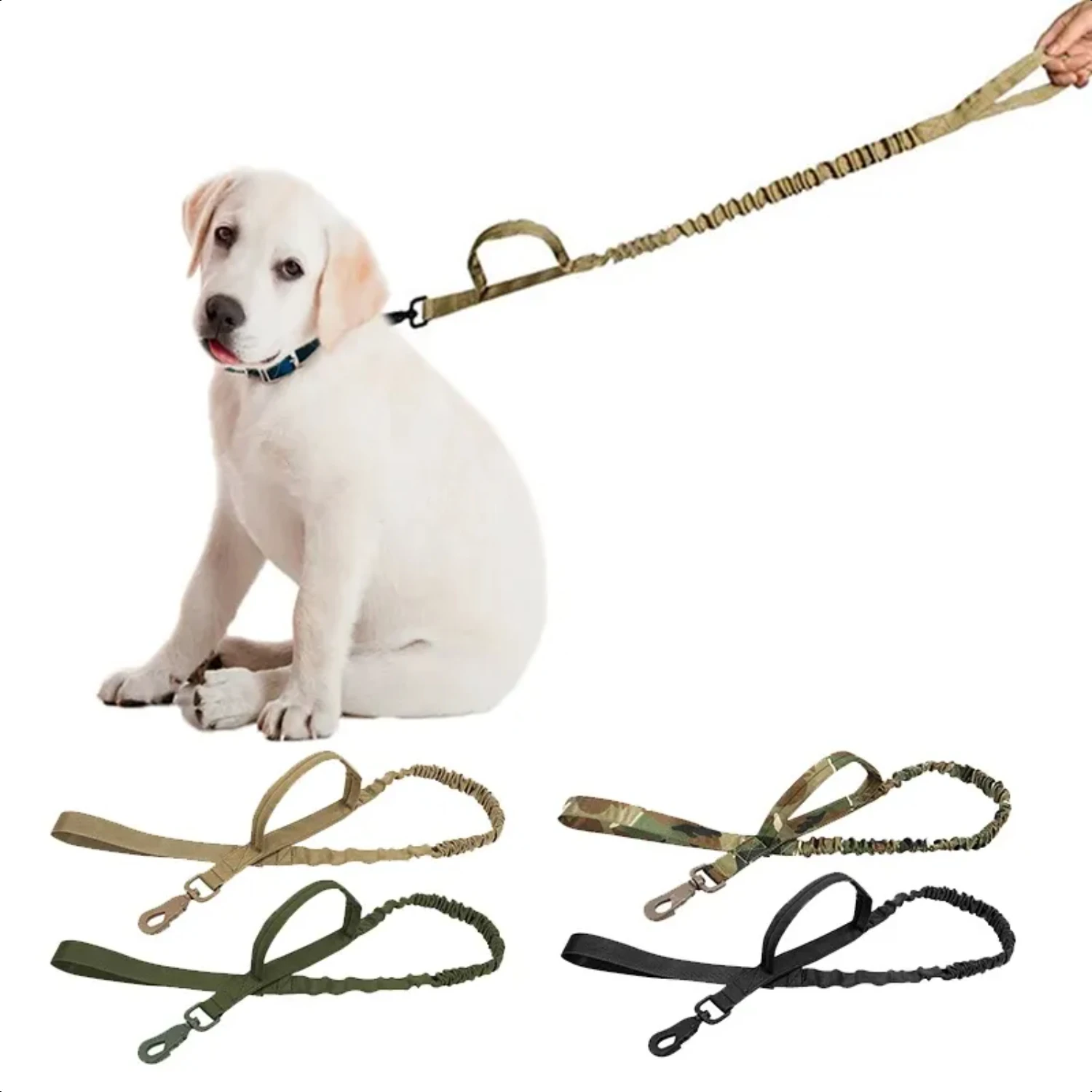 Reliable, Convenient, and Durable Retractable Pet Leash - Experience Safe Outdoor Adventures with Dogs of Any Size. Enjoy Secure