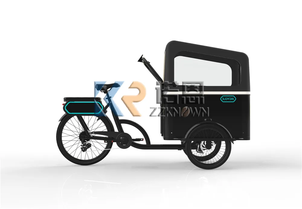 500w Dutch Cargo Bike China Family 3 Wheel Electric Tricycle Shopping Cargo Bike For Children