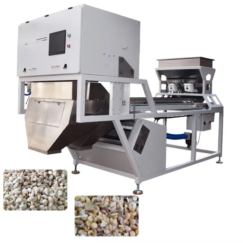 AI Intelligent 1000-3000kg/h Chestnut Cashew  Hazelnut Chili Color Sorter Almonds Plastic Garlic Color Sorting Machine
