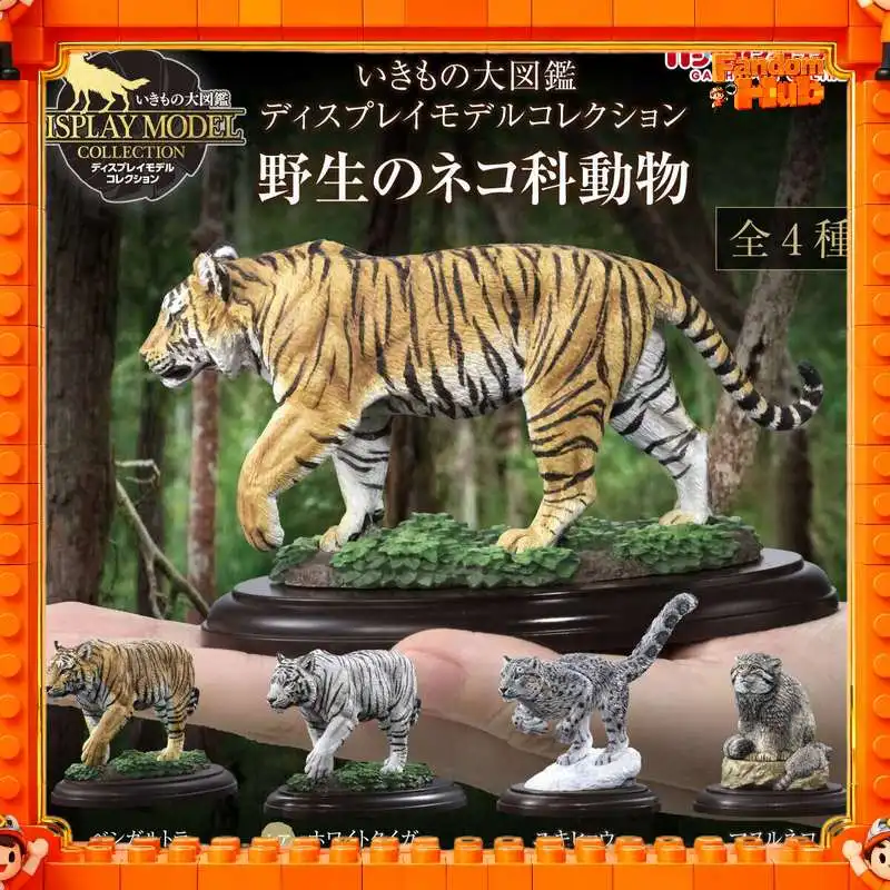 

Bandai Gp Wildlife Animal Encyclopedia Display Model Wild Cat Figure Realistic Detailed Trendy Toy Desktop Ornament Toys Gift