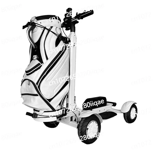 Golf Cart 2400W Rear Dual Drive Foldable Golf Cart