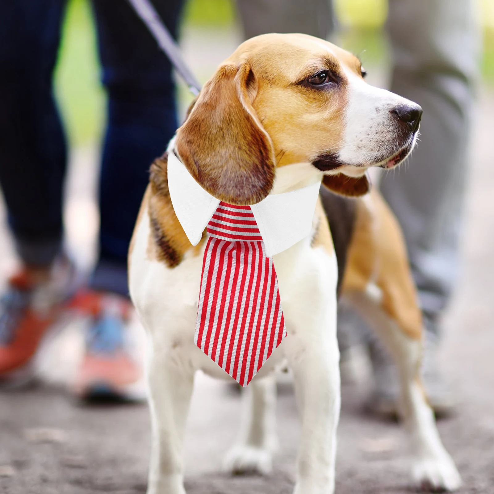 

2Pcs Adorable Pet Bow Tie Collar And Necktie For Dogs And Cats Formal Attire