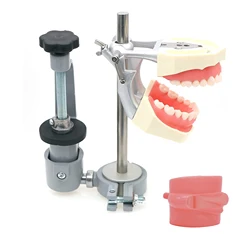 Montagem Ajustável Pólo Dente Modelo, 360 Graus, Fix na Mesa Fit, Kilgore, Nissin, Columbia, Dentiform, Frasaco, 360 Tipo