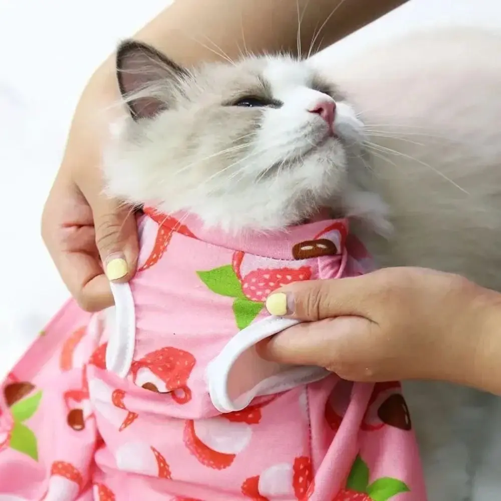 New Cartoon Cat Sterilization Clothes Anti-scratch Breathable Anti-licking Clothes Print Pet Surgery Suit