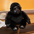 Negro