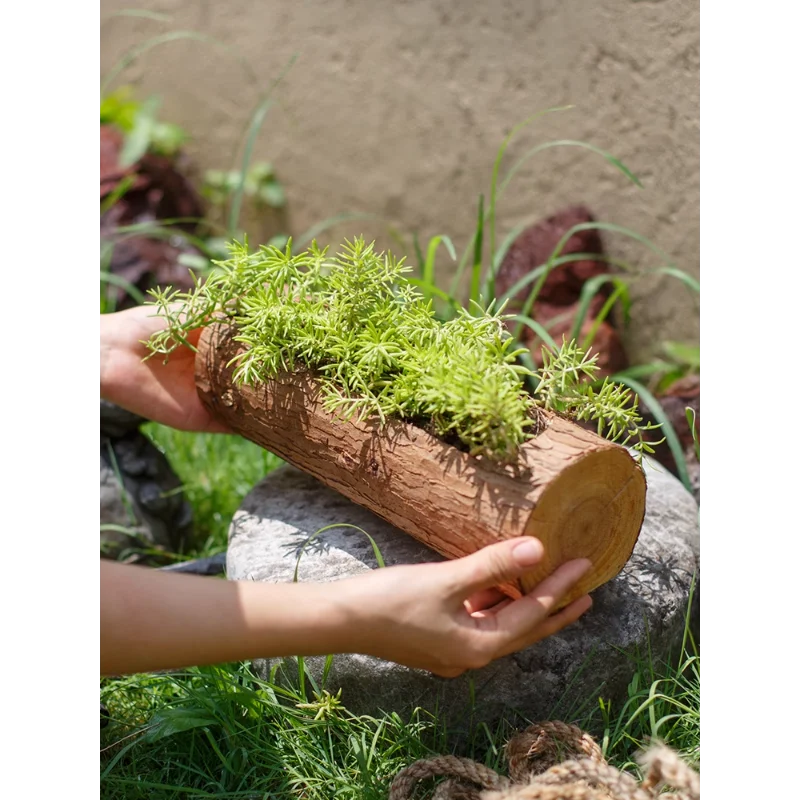 

Log flower slot succulent wood slot flower ornaments