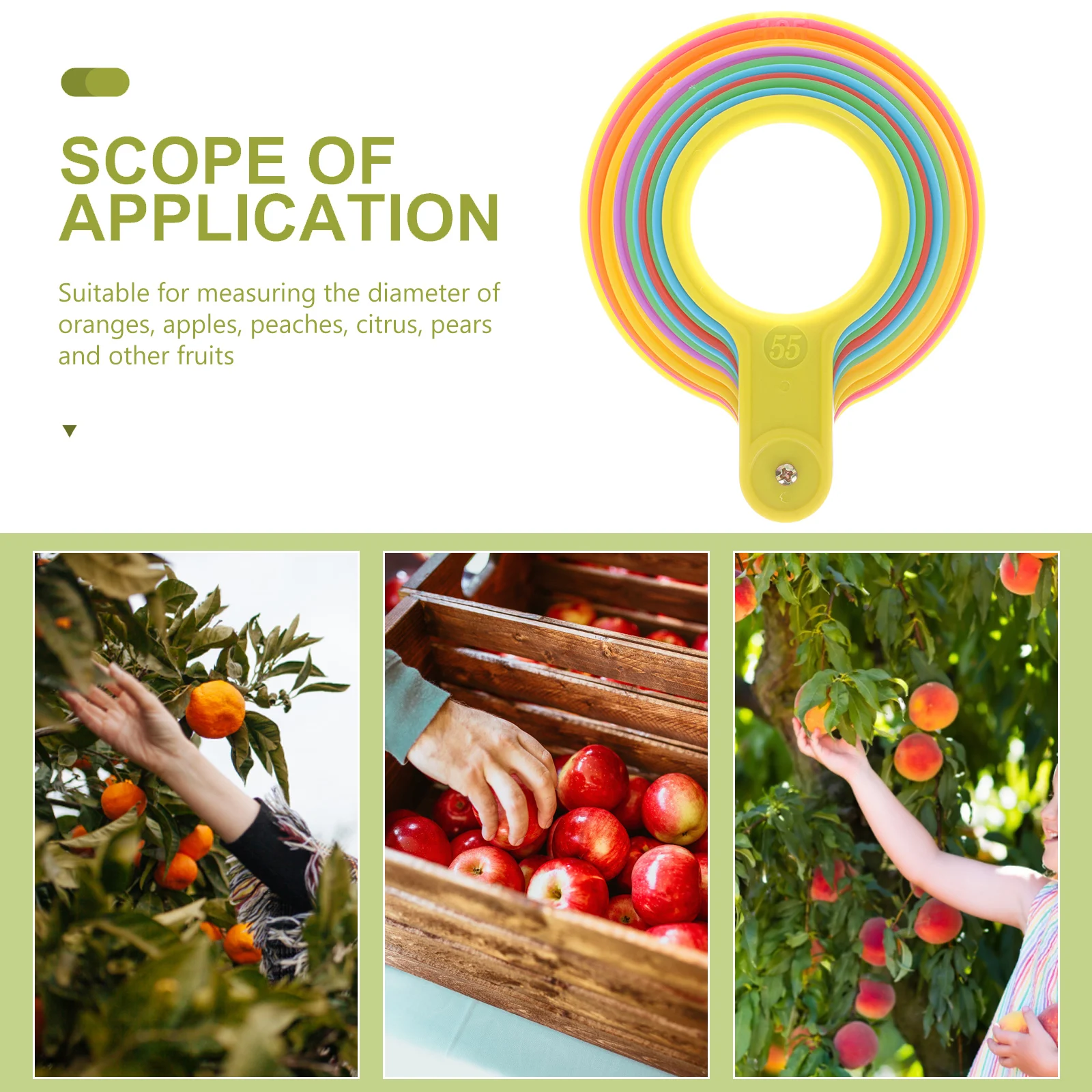 

3PCS Fruit Diameter Measuring Tool for Peaches Citrus Grading Circle Plastic Measuring Lap Farm Market Use Large