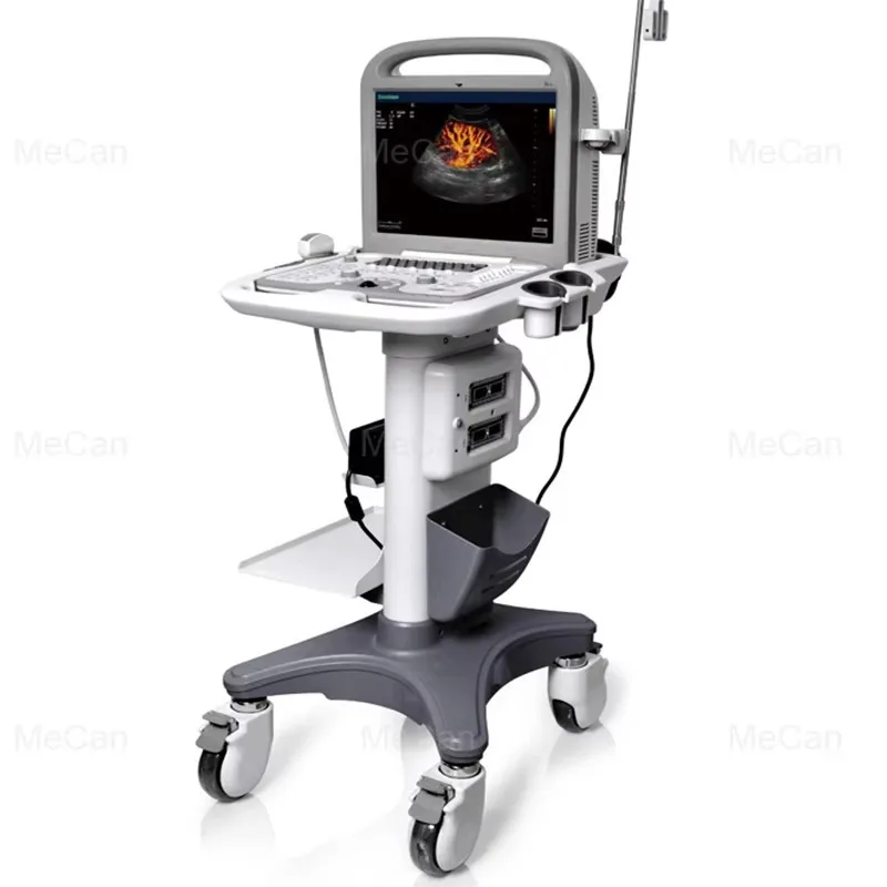 2026 Portable Handheld Ultrasound Price 3d 4d Laptop Doppler Laptop Ultrasound Machine Echographe Ultrasound Scanner Animal Care