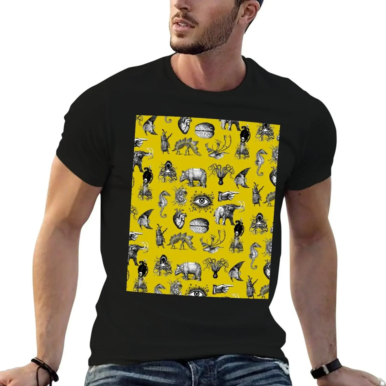 Cabinet of curiosities T-Shirt graphic shirts quick-drying plain tshirts for men