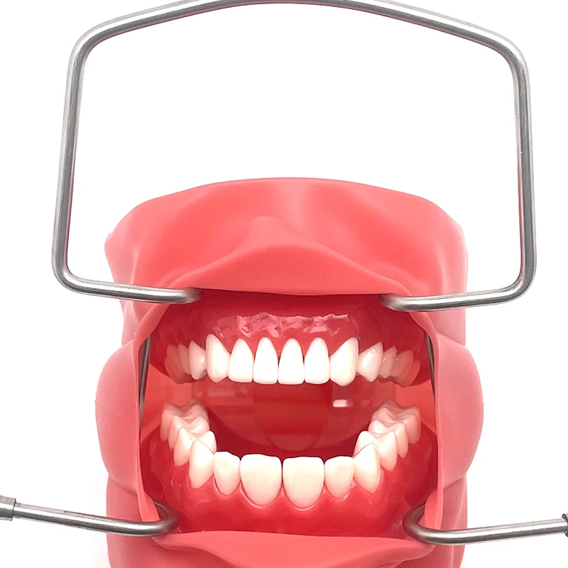 

Многоразовый ретрактор для губ и щек из нержавеющей стали, автоклавируемый ретрактор для рта для хирургии полости рта, стоматологического использования