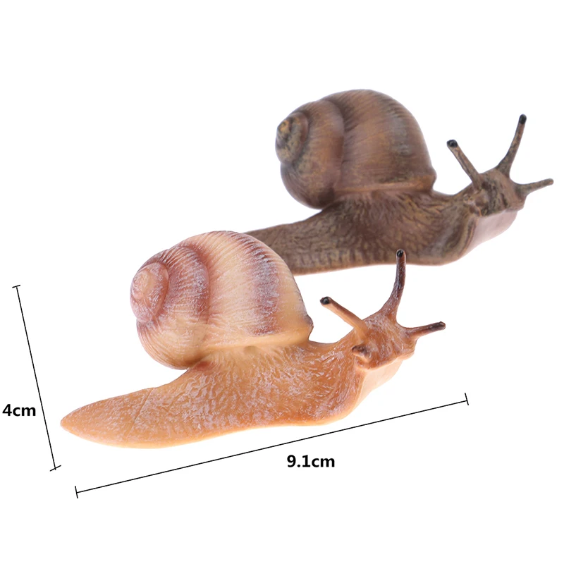 New Simulation Animal Model Mini Animal Snail Growth Cycle Ornament