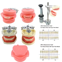 Typodont-dientes extraíbles y simulación de mejillas para dentistas, modelo Dental Compatible con kidgore Nissin 32, demostración de estudio de enseñanza
