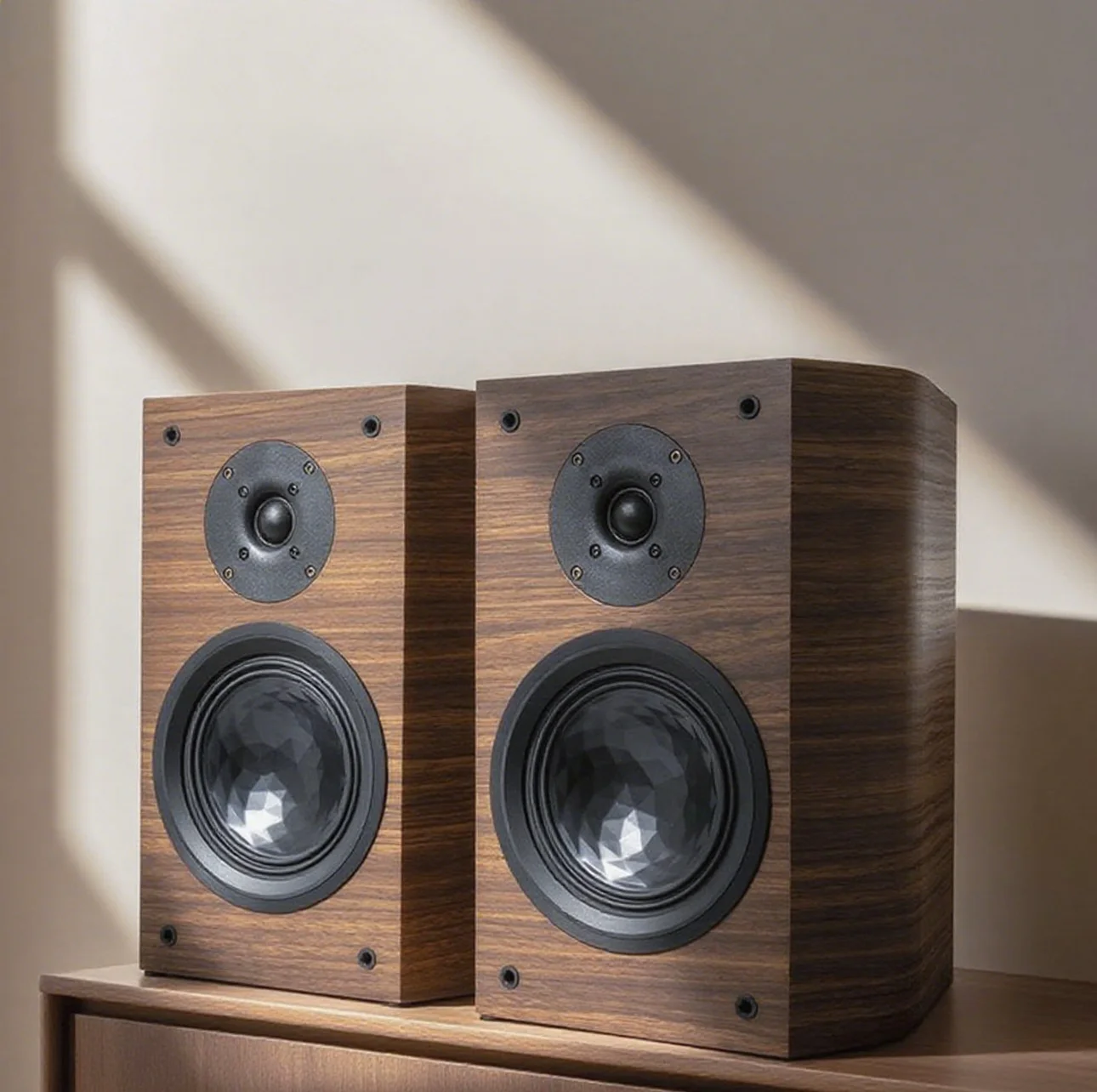 

DL65 Two HlFl Passive Speaker Large Arc Box Design 6.5inch Home Theater Sound System Speaker