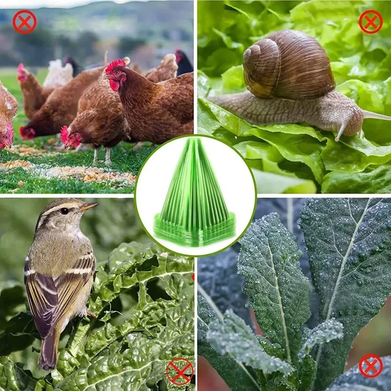 50PCS Growth Box Planting Tent Reusable Square Use Plant Clock Cover To Protect Plants From Bird Frost And Snail Damage