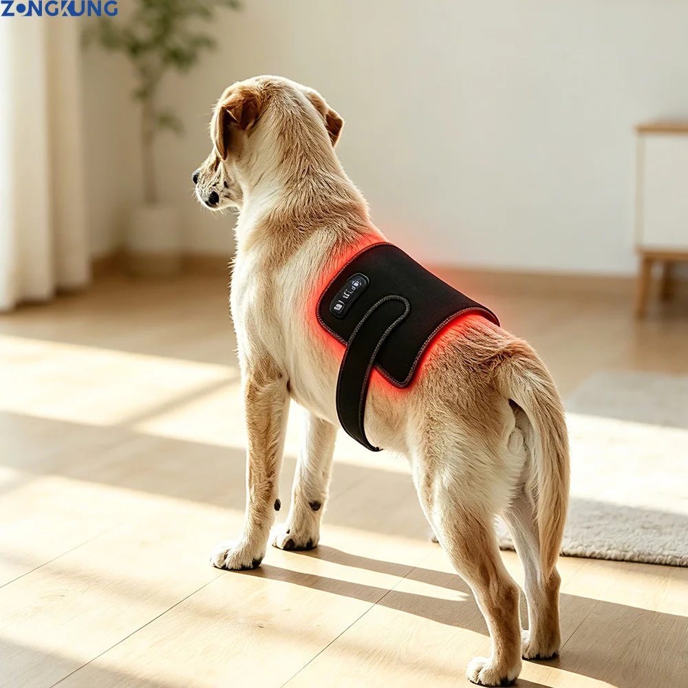 Veterinary Use Red Light LED Therapy Physiotherapy Equipment for Pet Dog Pain Relief Pain Reduce Rechargeable Easy To Clean