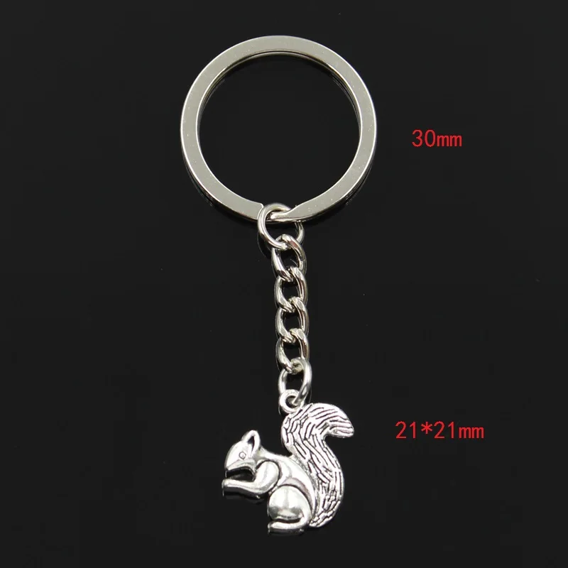 Fashion 30mm Key Ring Metal Key Chain Keychain Jewelry Antique Bronze Silver Color Plated Double Sided Squirrel 21x21mm Pendant