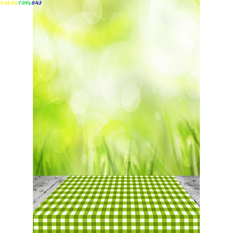 Vinyl Custom Spring Forest Wooden Floor Photography Backgrounds Sky Sea Natural Scenery Photo Backdrops Studio 210309TFX-05