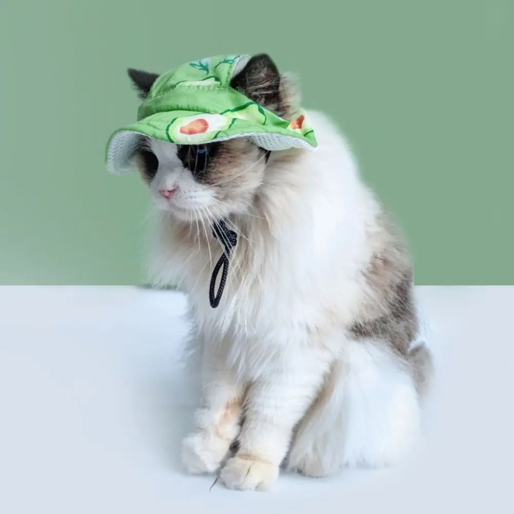 Cartoon Dog Fisherman Hat Fruit Printing Adjustable Dog Baseball Caps Sun Protection Breathable Pet Sun Hat for Cats Dogs