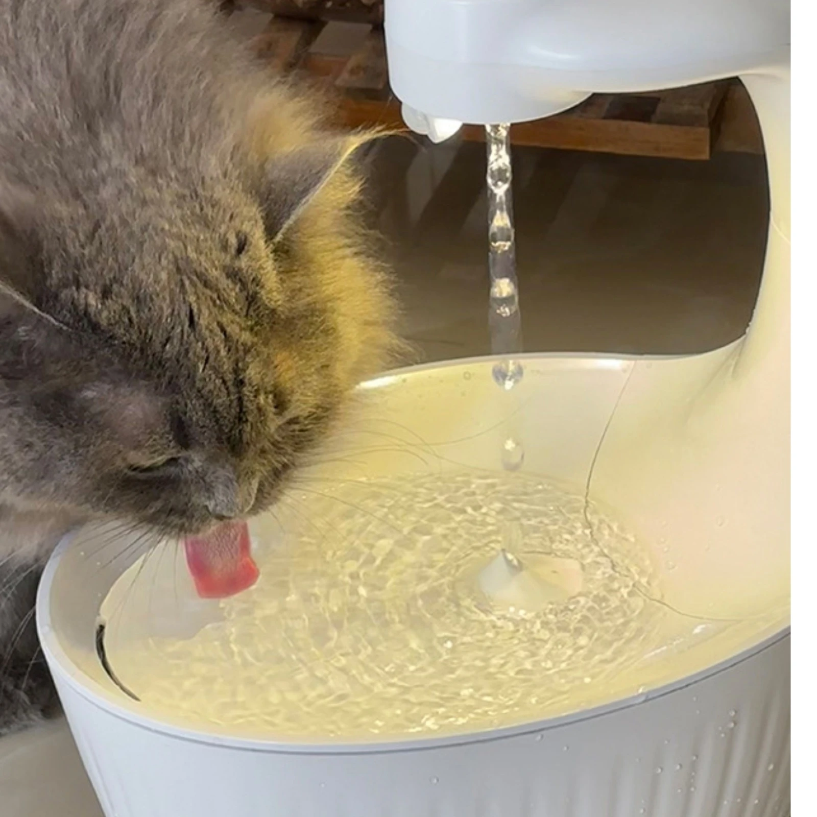 Bezprzewodowa fontanna dla kot – Pet Water Fountain recenzja i cena