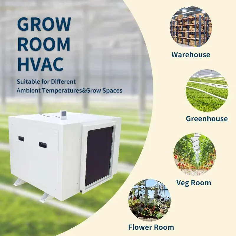 Large 480L Air Dehumidifier for Industrial Use Electric 380V New for Greenhouses Grow Rooms Farm Construction Pump Compressor view 6