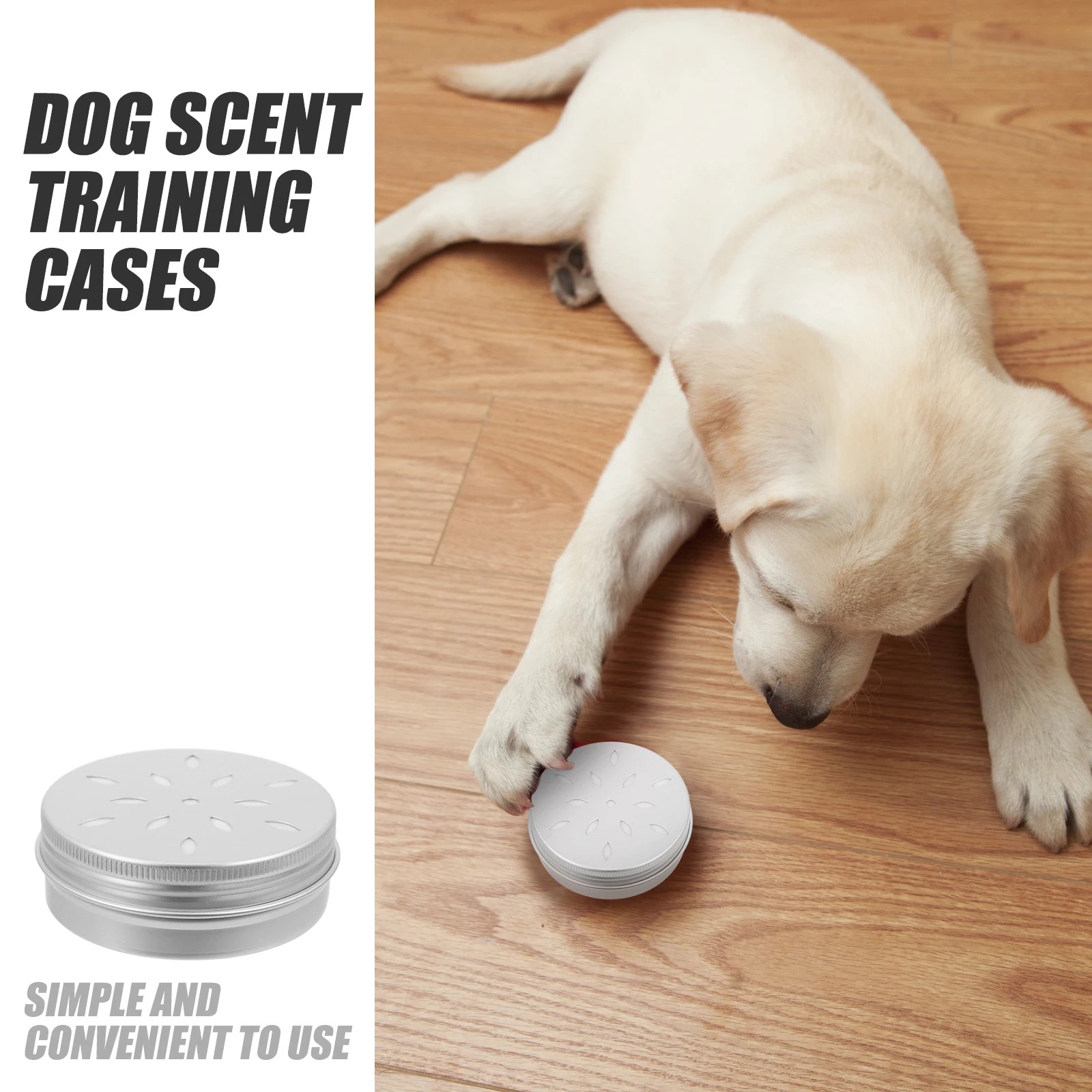 

10Pcs Metal Scent Training Container Dog Nose Training Case Odor Snuffle Trainer Tool for Dogs Metal Tins with Lids