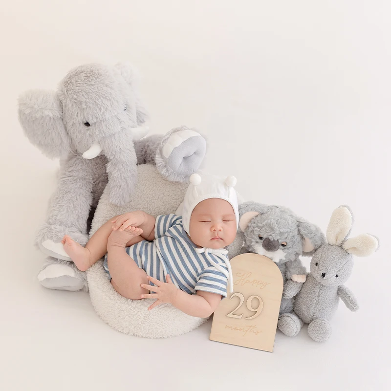 Summer Newborn Photography Doll Theme Stripes Set Cute Wind Koala Rabbit Doll Photography Props Baby Birth Memorial Photo Props