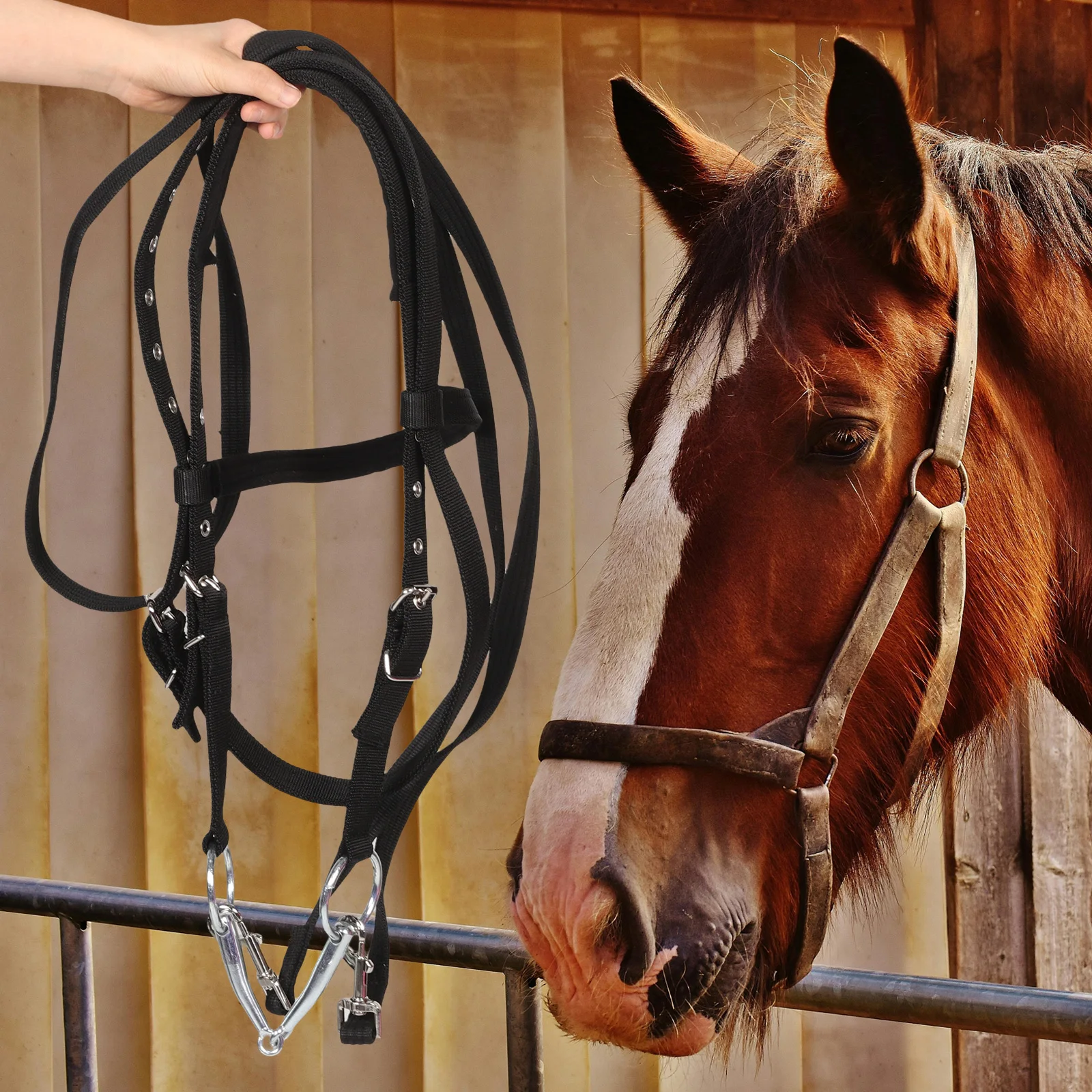 

Adjustable Rope Halter Durable Nylon Bridle Rein Equestrian Training Gear Bitless Bridle All-Purpose Trail Rein For