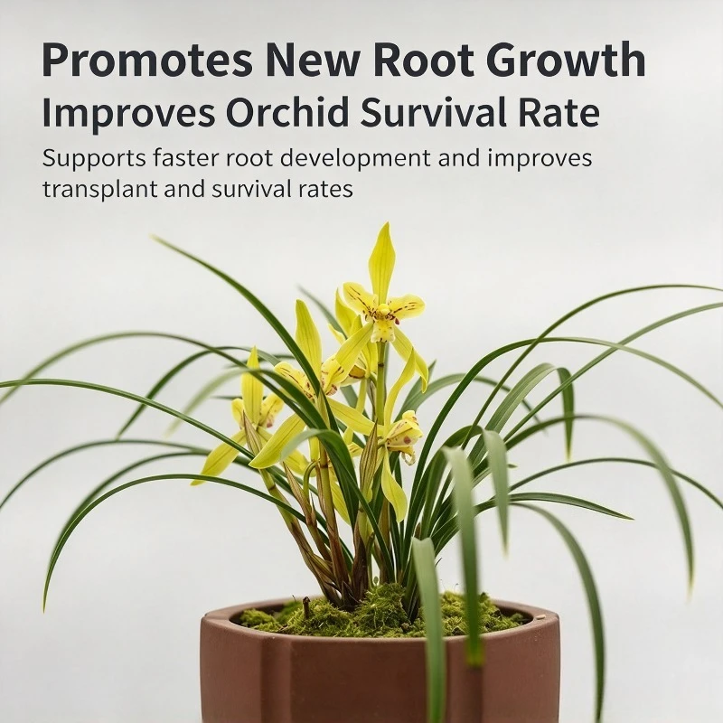 10L Orchid Special Nutrient Soil Bark Mix Premium Formula for Phalaenopsis Cymbidium Clivia Orchid Potting Repotting Garden Kit