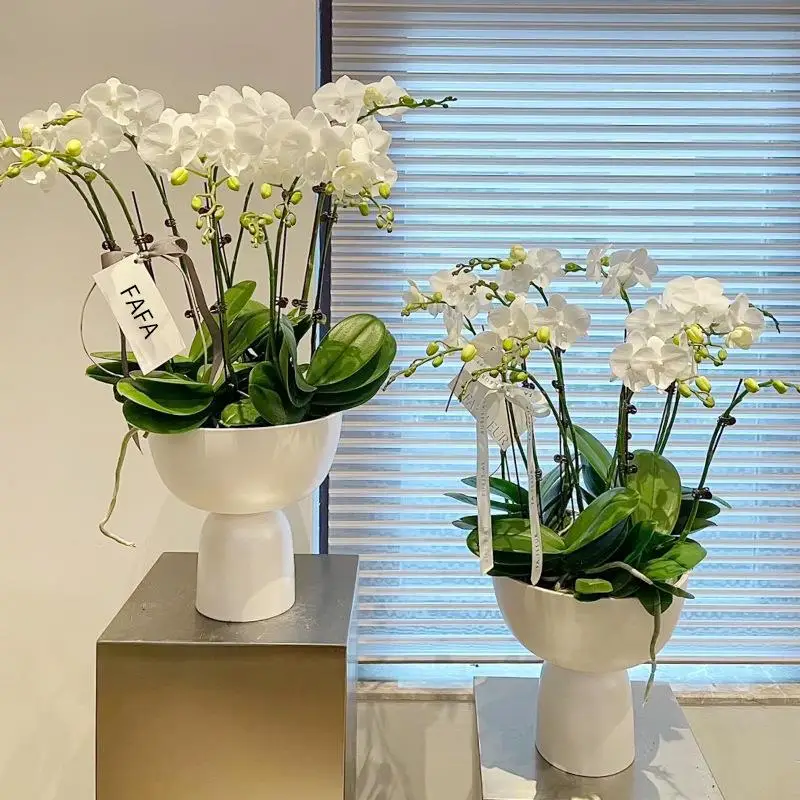 vaso-in-ceramica-nera-di-grandi-dimensioni-per-orchidee-phalaenopsis-copertura-di-lusso-supporto-artistico-per-vaso-in-stile-europeo