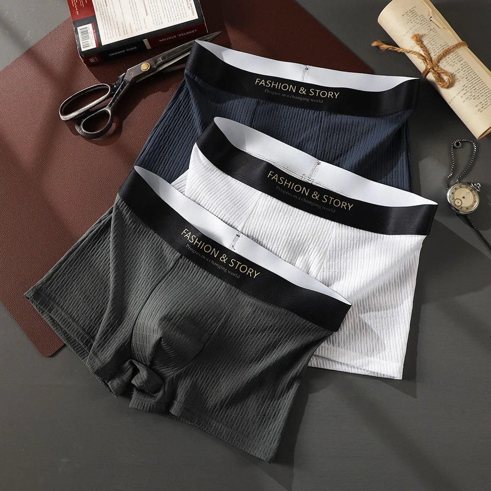 

Men Plaid Mesh Briefs Translucent Lingeries For Man Bikini Boxer Shorts Seamless Underwear Breathable Underpants Panties Fashion