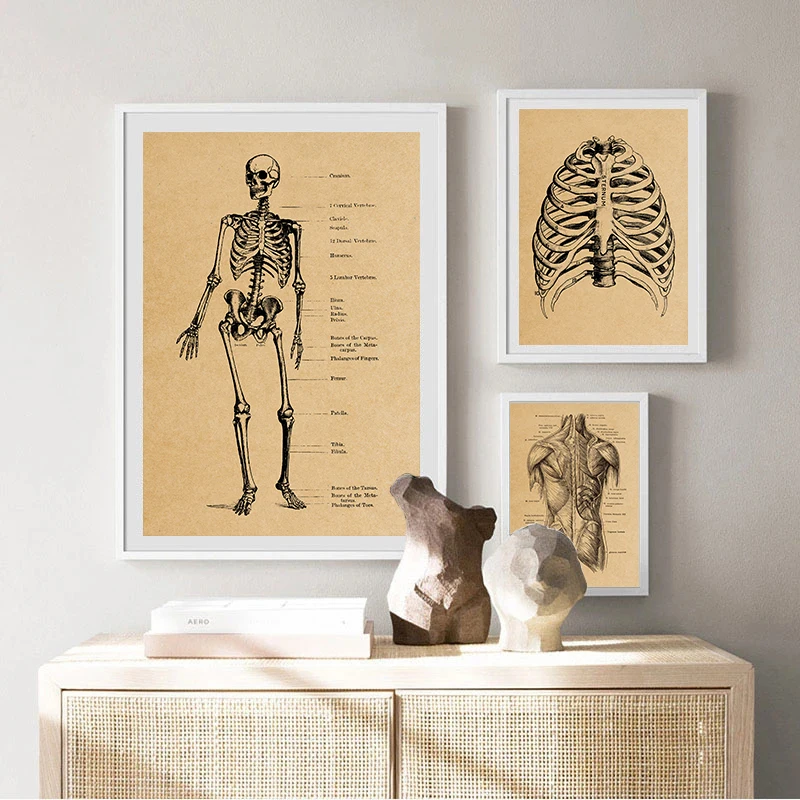 Retro Brown Human Organ Anatomy Wall Art Canvas Posters and Prints Medical Education Painting Pictures for Hospital Clinic Decor