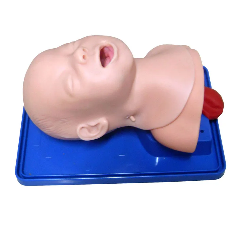 Children's tracheal Manikin Training anatomy intubation model and simulating children's throat organs