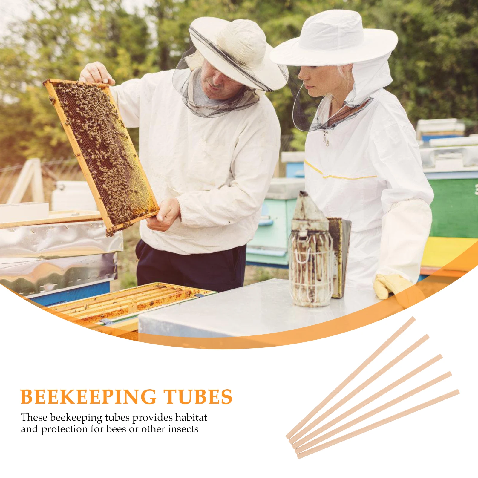 

100 шт., сменные трубки из натуральных пчел для пчелиных домиков, вставки для трубок для уличного гнездования, принадлежности для пчеловодства «сделай сам», стержни для заправки улей