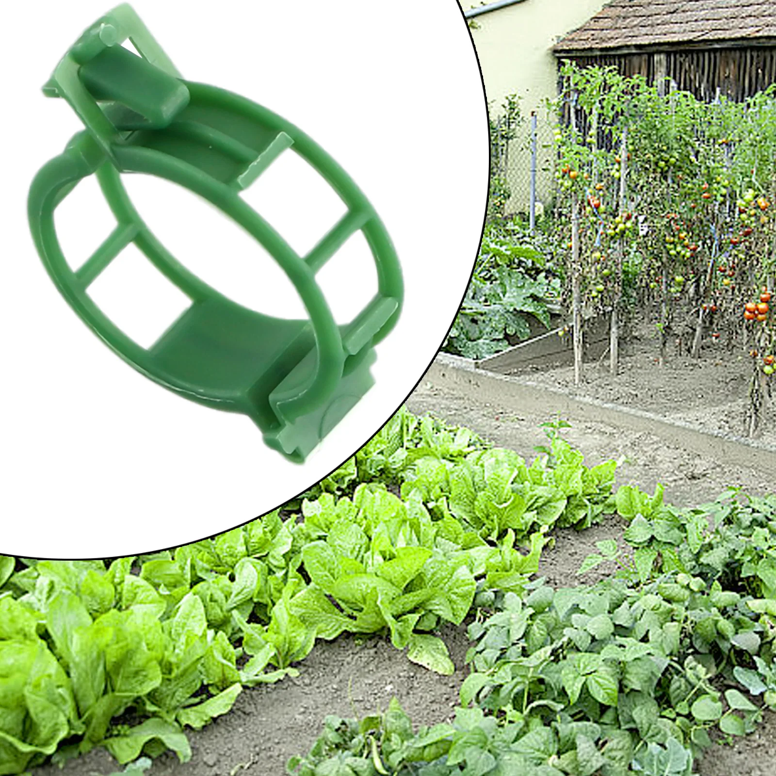 

100x Ties Plant Supports Stake Garden Plant Support Clips Tomato Greenhouse Gardening Supplies For Vegetable Holder