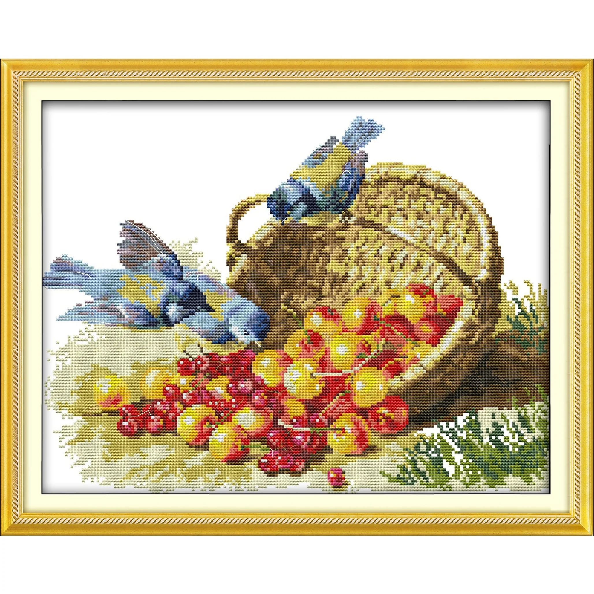 

Soulgift News Pre-Printed Cross Stitch Kit, Stamped Aida Fabric with DMC Threads, Embroidery Kit - Bird and Fruit