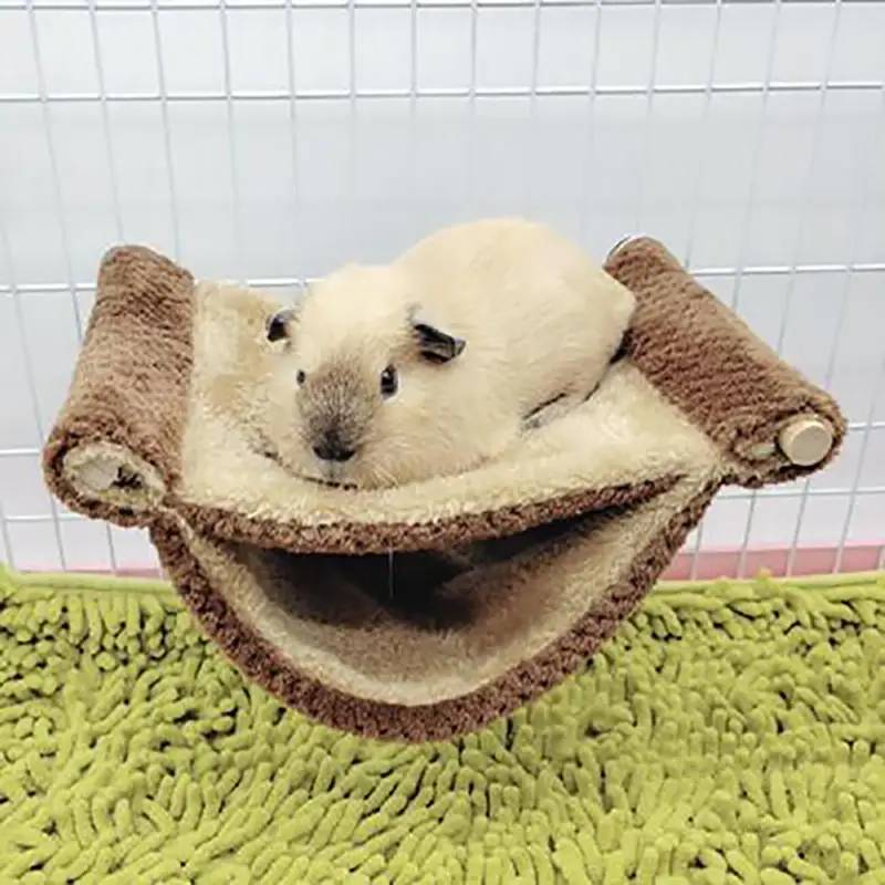 Thumbnail 4 - #10 Best Hamster Houses to Buy In 2026
