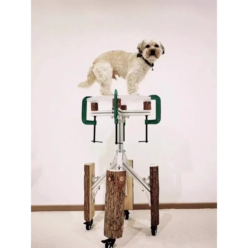 디자이너의 오리지널 커피 테이블 사이드 테이블 장식용 수납 테이블