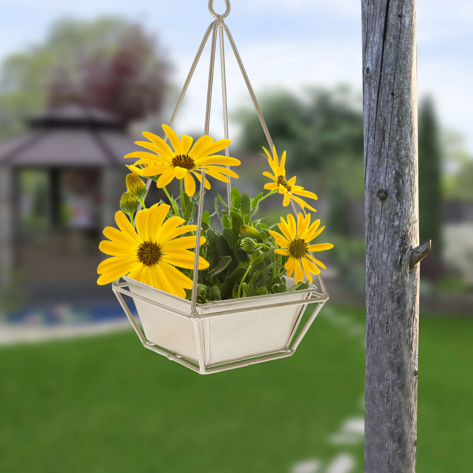 

1 шт., подвесной держатель для цветов, металлическая железная настенная ваза, прочный, безопасный дизайн для украшения комнаты, обслуживание маленьких растений