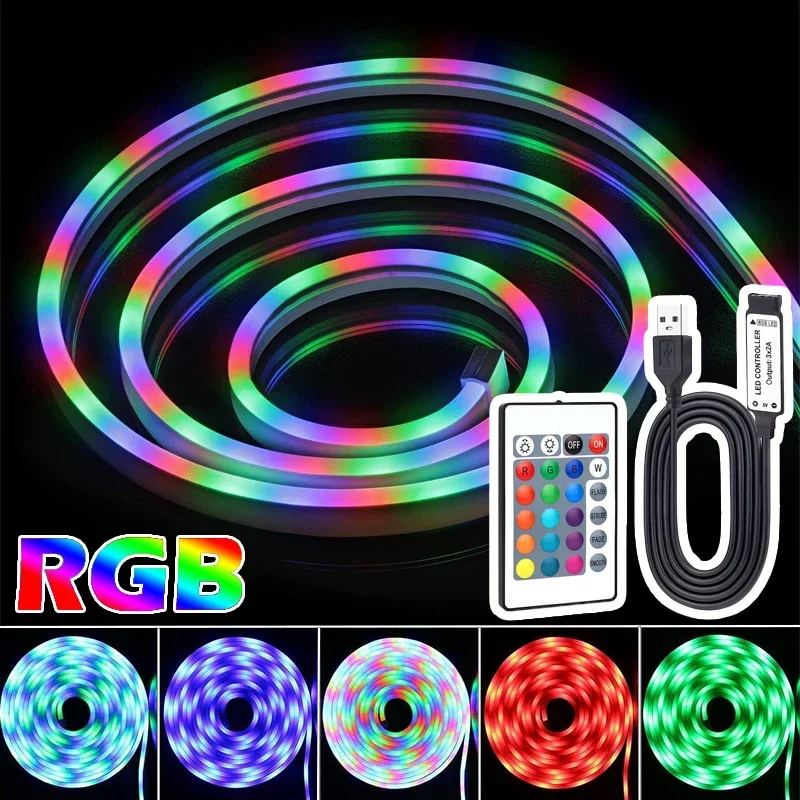 3M/9.84ft RGB LED Neon Rope Light with Remote Control, 2835SMD Color Changing Neon Flex Strip Lights for Bedroom Indoors Decor