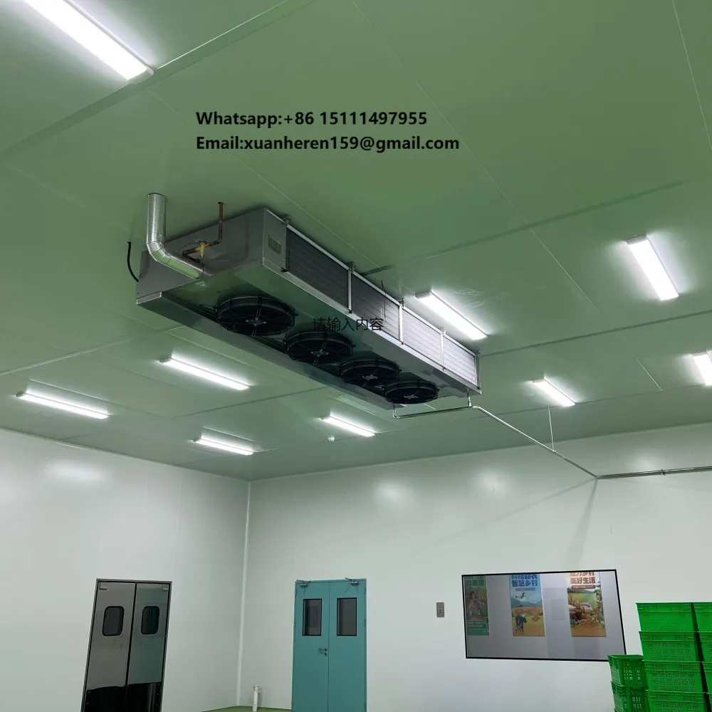 Hygienic Ceiling-Mounted Refrigeration Air Cooler for Dairy and Seafood Processing