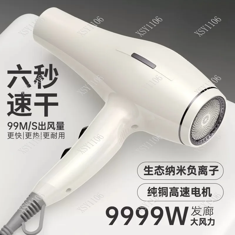 

Professional Hair Dryer High Power Negative Ion Fast Drying Blow Dryer for Salon & Household