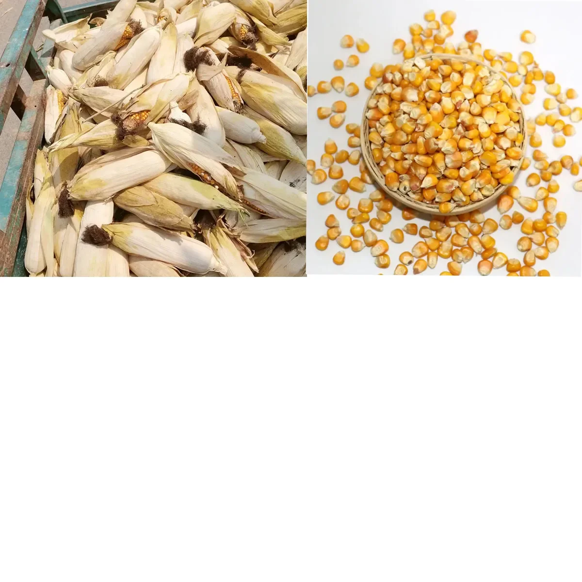 Diesel Power 300-400 Kg/ora Trebbiatrice per Riso, Grano, Soia, Mais