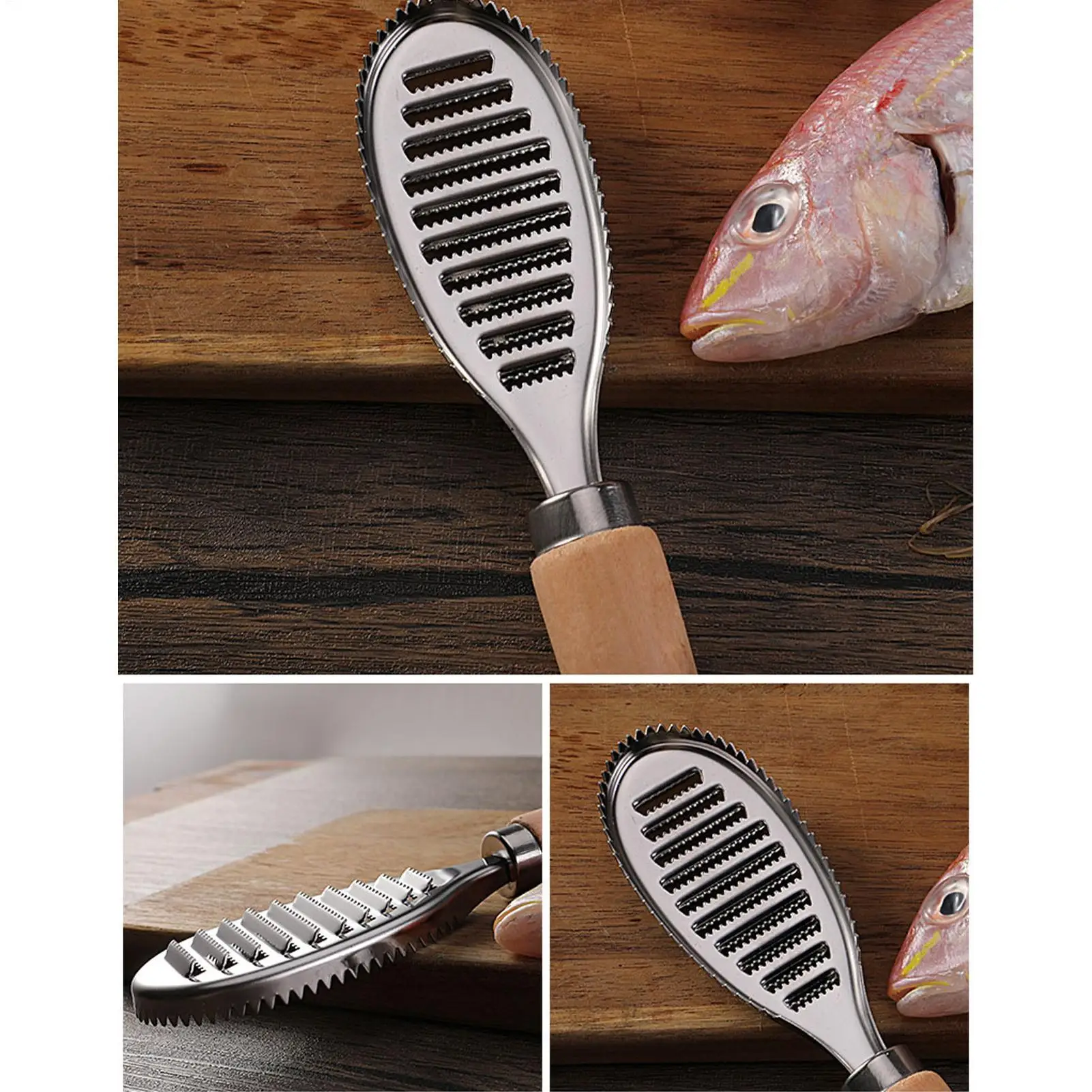 Portable Fish Scaler Remover Cleaner Fishing Scalers Clean Descaler Scraper Seafood Knif Tools Kitchen Stainless Steel Scraper