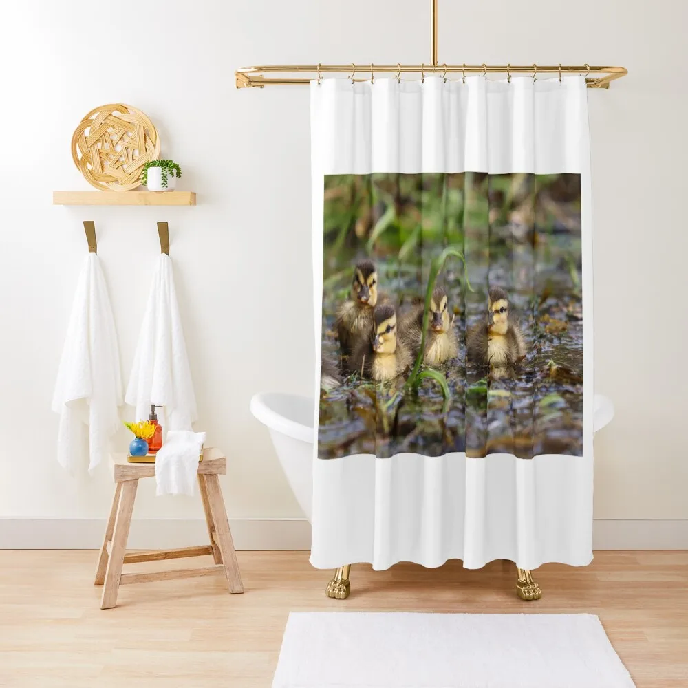 

Duckling hide and seek Shower Curtain Elegant Bathroom Bathroom Fabric Luxury Bathroom Shower Curtain