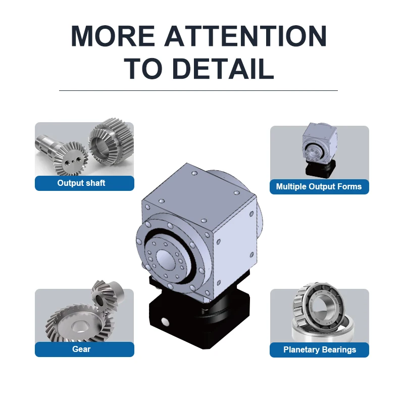 Precision Input Flange Steering Gear Hollow Rotary Disc Reducer One Year Warranty ODM Customized Support