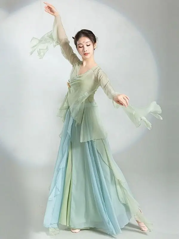 Chinese Classical Dance Dress Flowing Chinese Style Half Skirt Chiffon National Style Stage Performance Costume